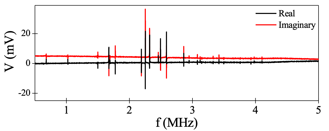 RUS1